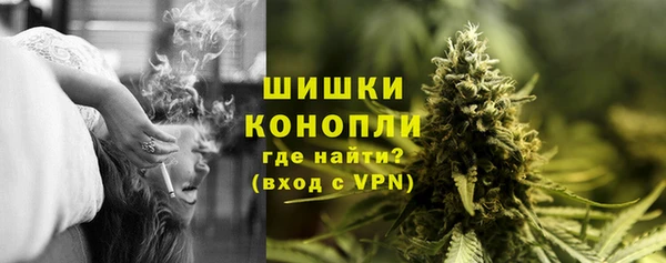 PSILOCYBIN Кинешма