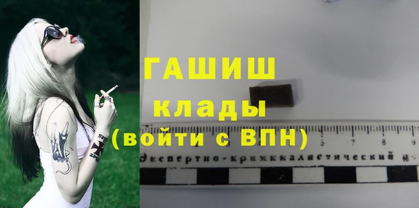 спиды Каменногорск