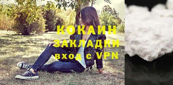 крисы Кодинск